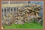 DSC 0486 11-26-21 29-ORIG v1