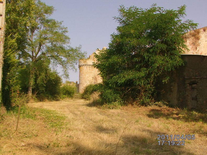 IMAG0511.JPG